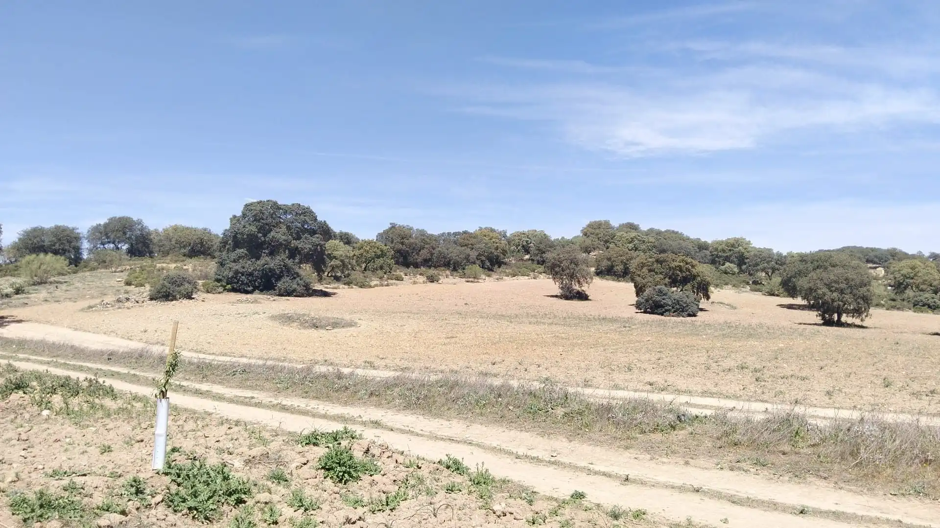 Terrenys i solars en venda a Archidona