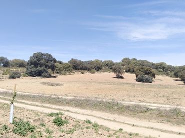 Terrenys i solars en venda a Archidona