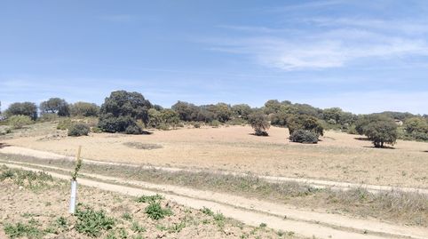 TERRENO EN VENTA EN ARCHIDONA ANTEQUERA