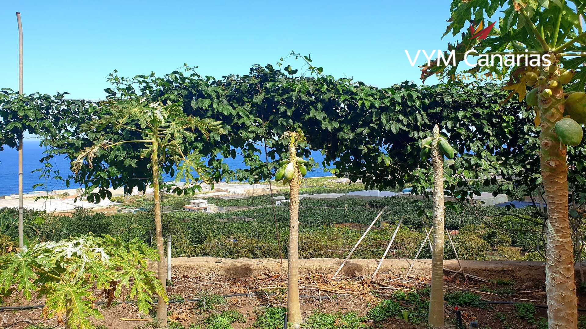 Residencial en venda en Buenavista del Norte