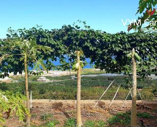 Residencial en venda en Buenavista del Norte