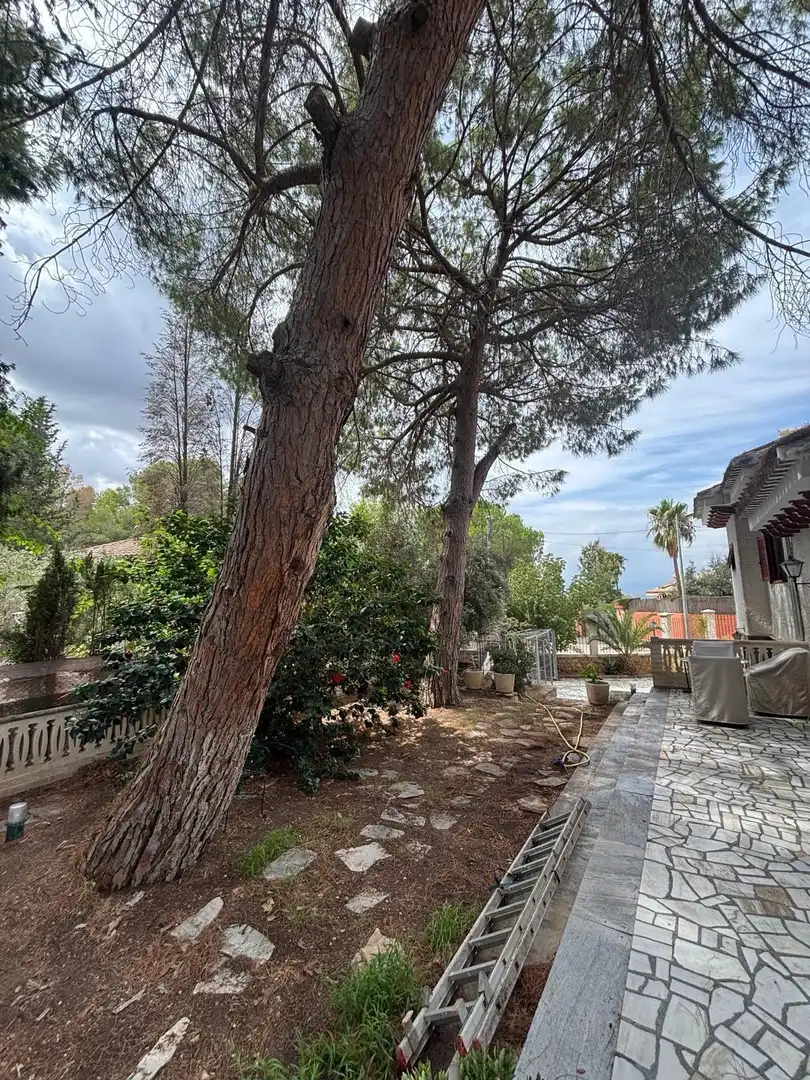 Xalet amb terrassa en venda a Pedanías Este, imagen 2