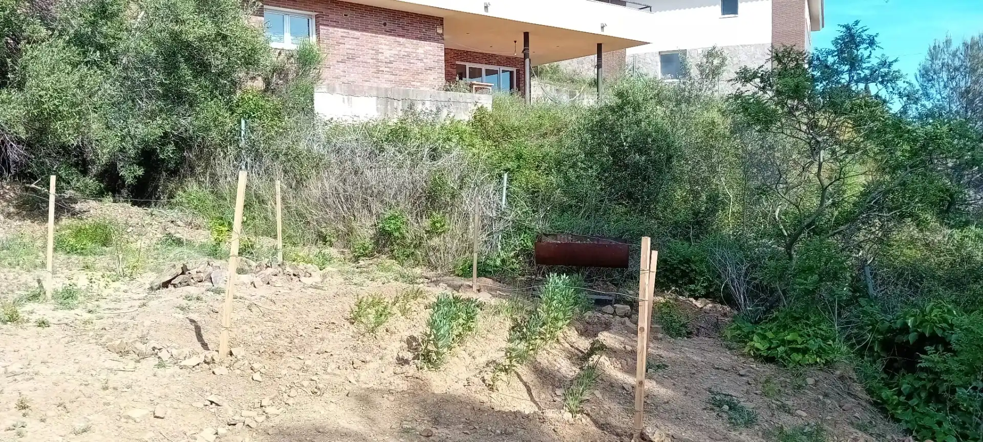 Residential land for sale in Almoster, imagen 8