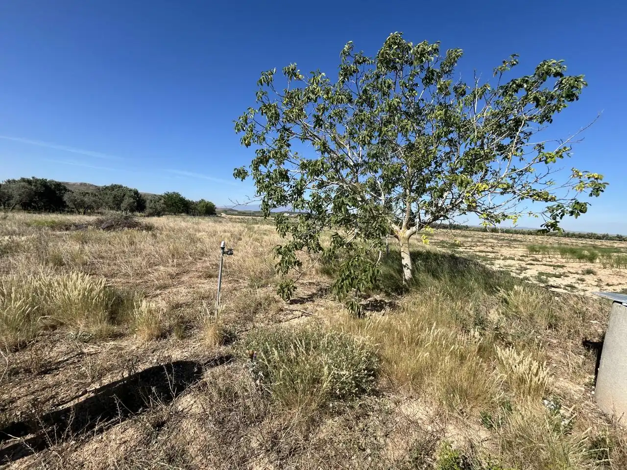 Finca rústica en venta en Ablitas