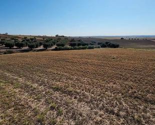 Residencial en venda en Navalcarnero