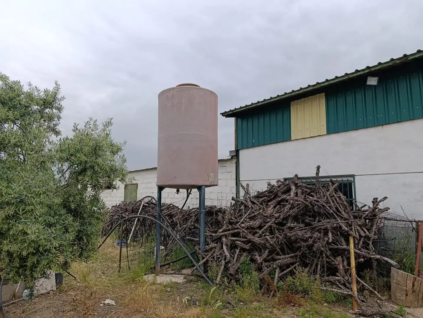 Vista exterior de Finca rústica en venta en Zalamea de la Serena
