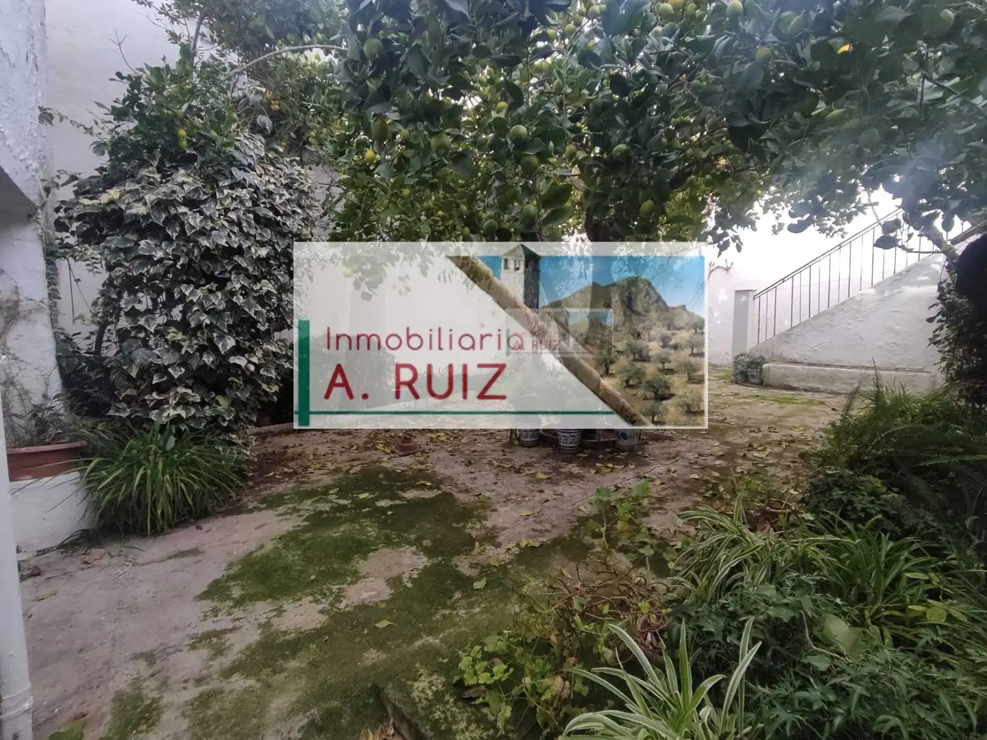 House with garden for sale in Priego de Córdoba, imagen 14