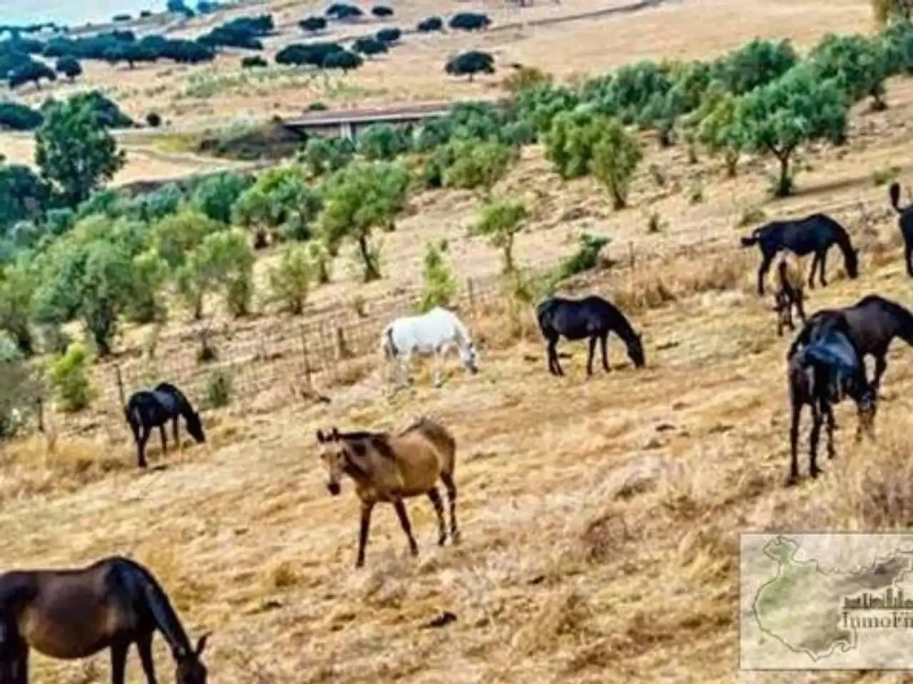 Vista exterior de Finca rústica en venta en Higuera de Vargas con Aire acondicionado, Jardín privado y Terraza