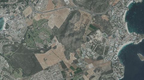 Foto 3 de Piso en venta en Cala Vinyes, Calvià