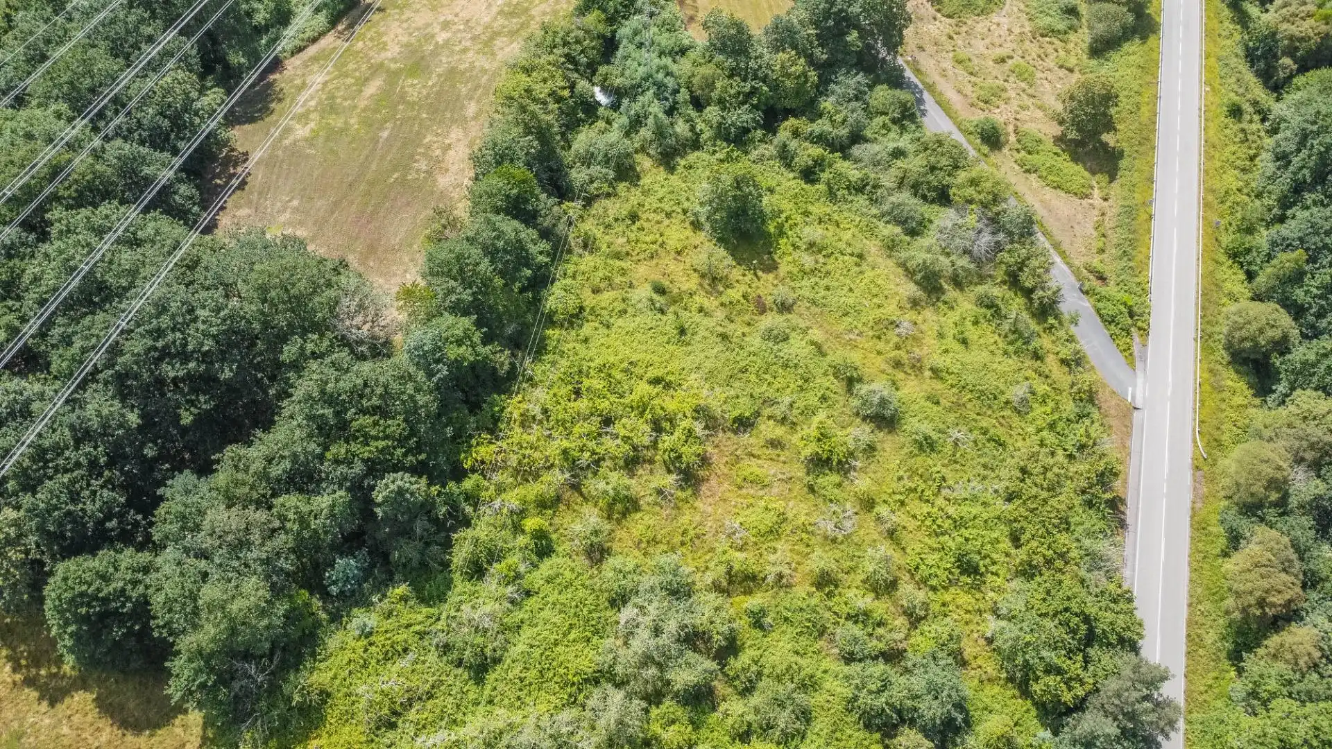 Rural land for sale in del pareo, imagen 16