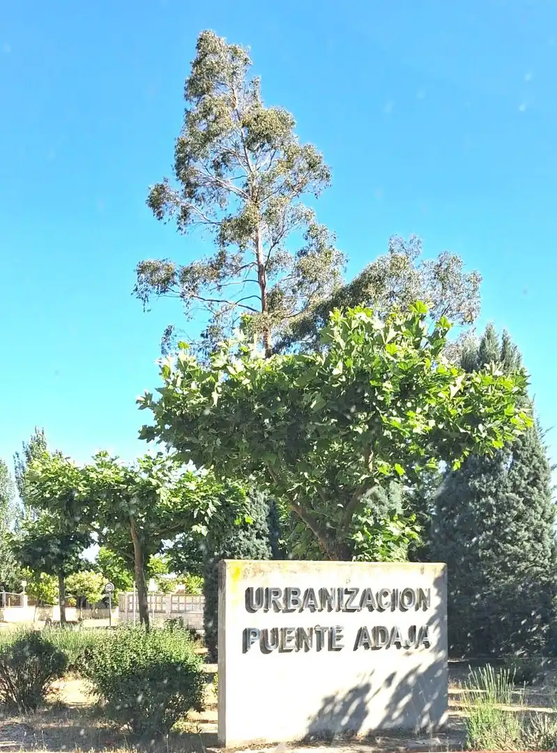 Vista exterior de Casa o xalet en venda en Villanueva de Duero amb Calefacció, Jardí privat i Traster