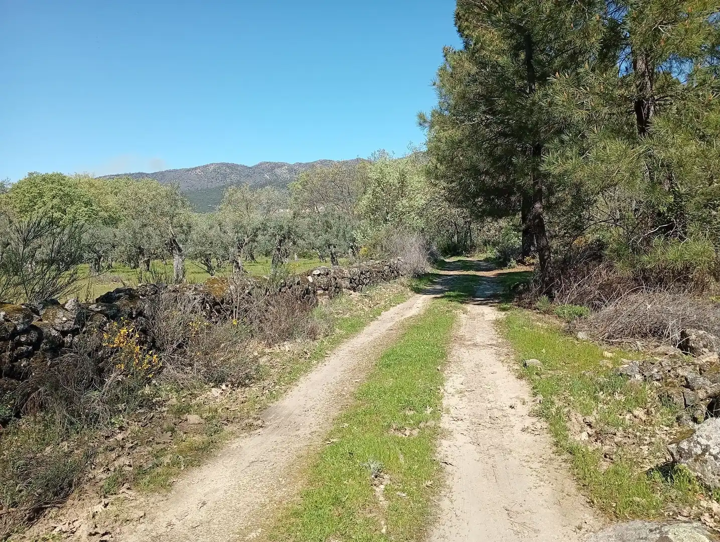 Terreni e lotti in vendita a Valverde de la Vera, imagen 70