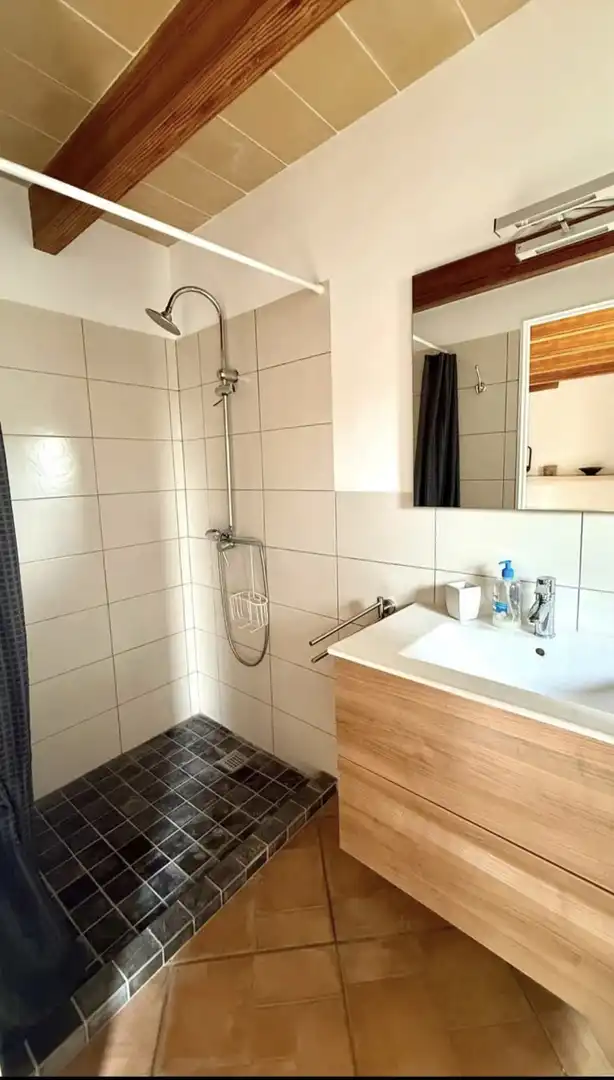 House with terrace for sale in Poligono poligon, imagen 12