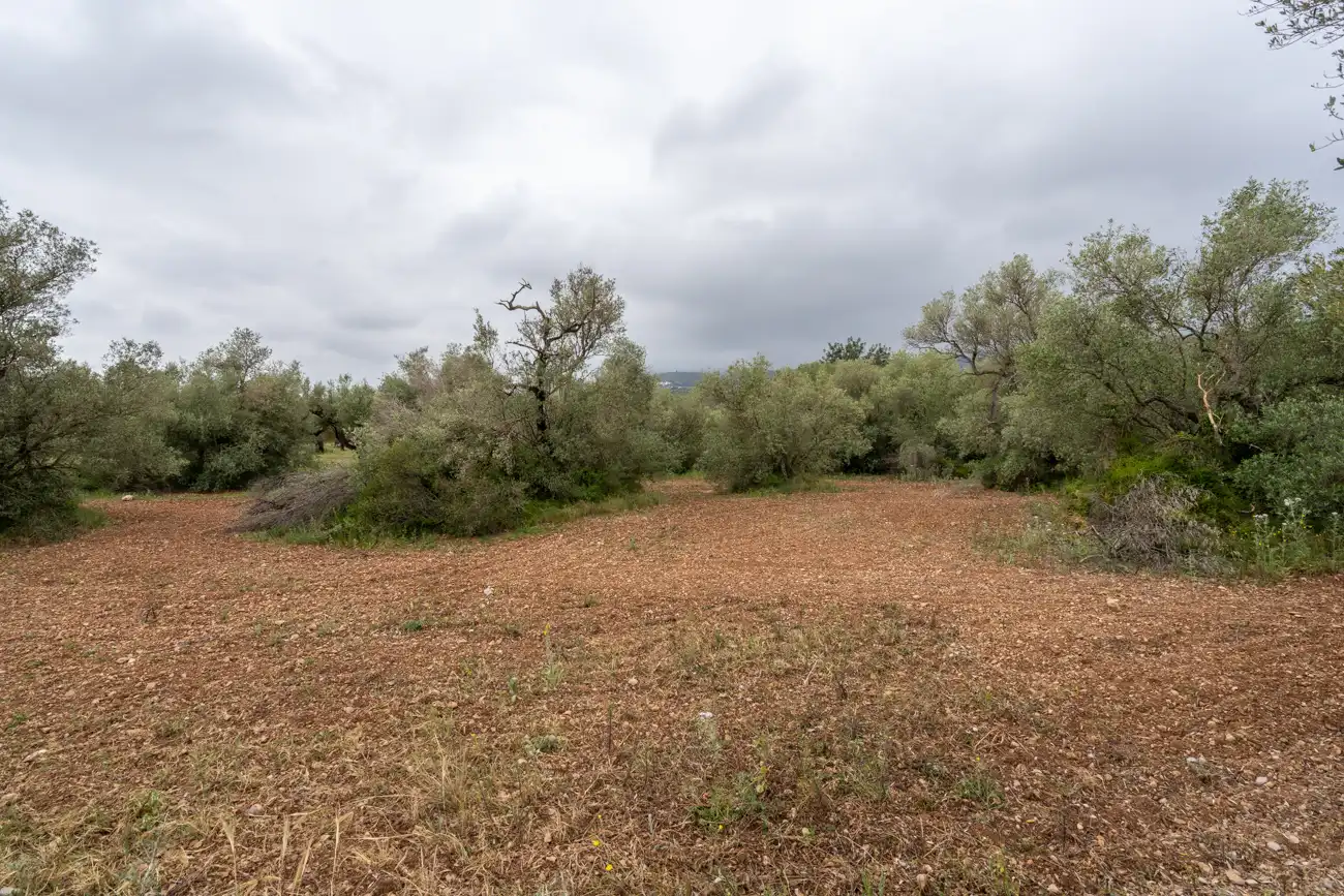 Terreno en venta en Mas de Barberans