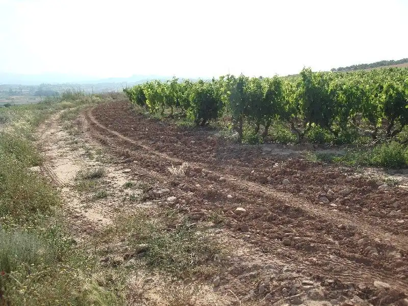 Terreny rústic en venda a Villamediana de Iregua, imagen 5