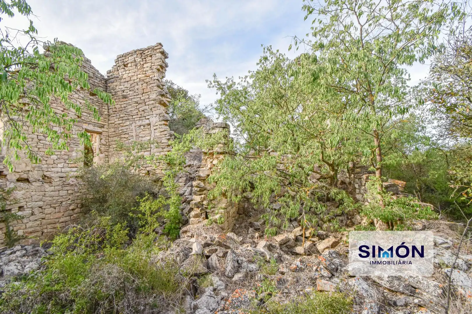 Finca rústica en venta en Veciana