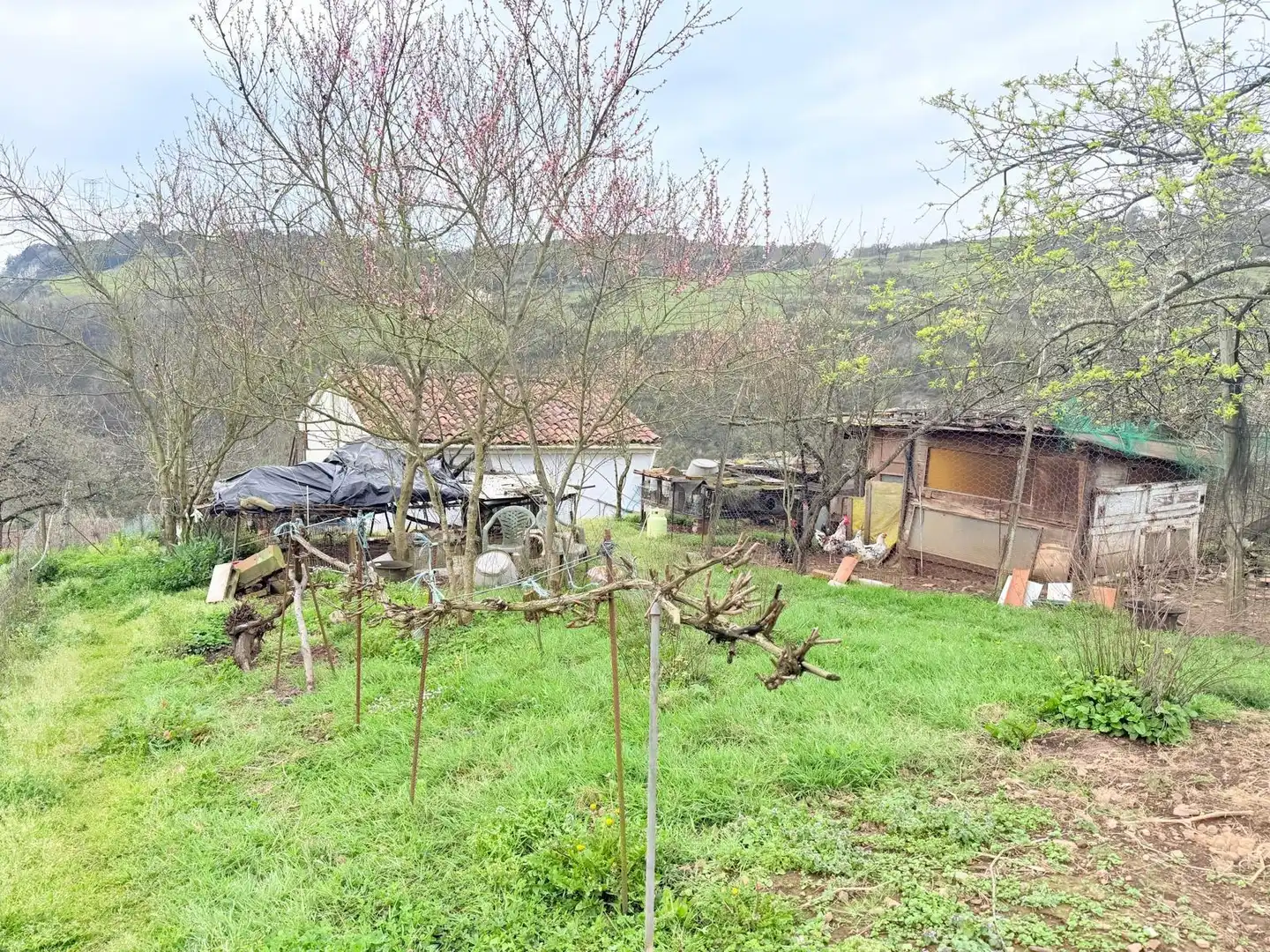 Casa o xalet en venda en Las Regueras  