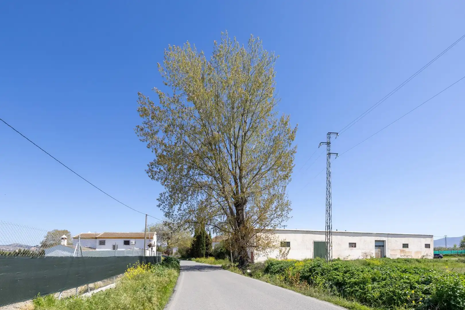 Exterior view of Country homes for sale in Granada  with Private garden, Terrace and Swimming Pool