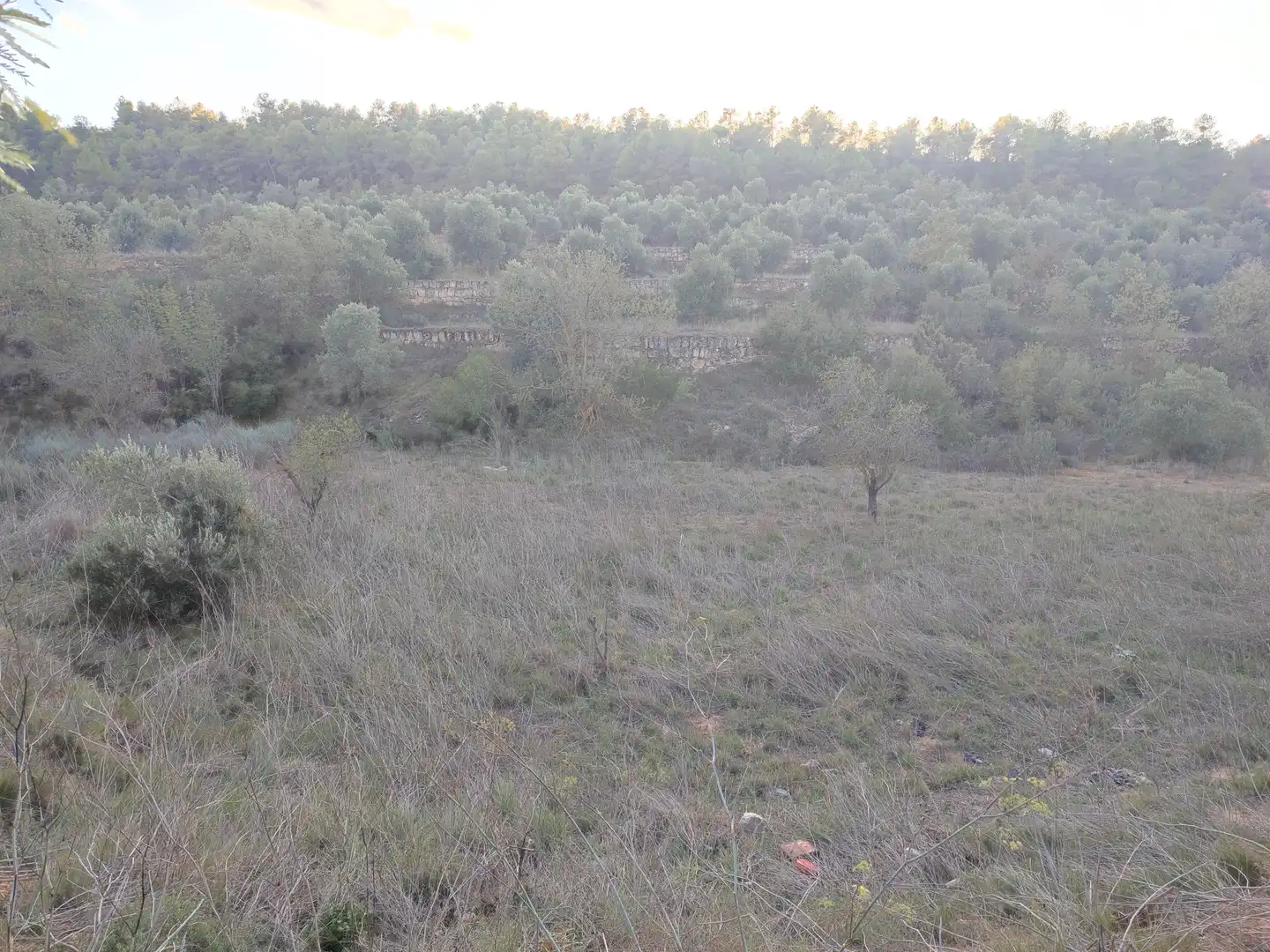 Terreno rústico en venta en Juncosa, imagen 53