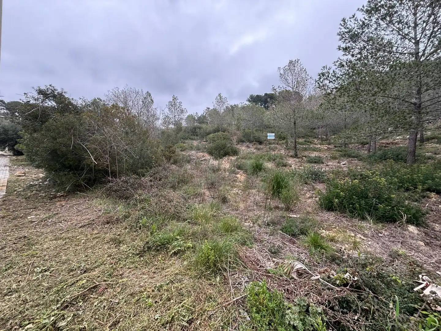 Terreny residencial en venda a Olivella, imagen 17