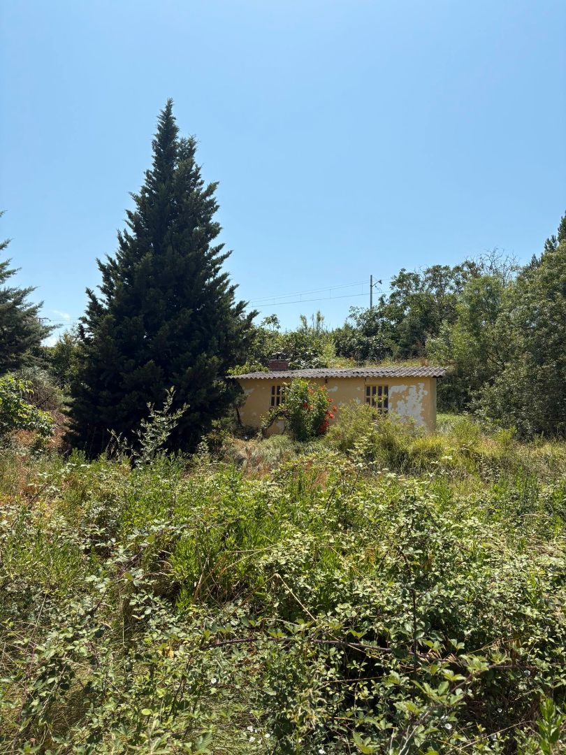 Grundstücke zum verkauf in  Logroño