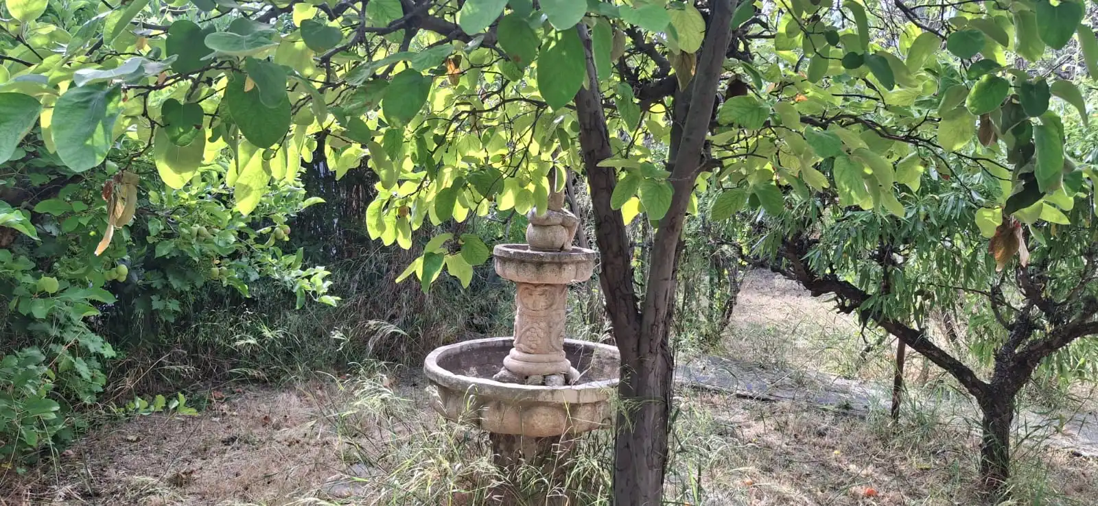 Jardí de Casa o xalet en venda en Cadrete amb Calefacció, Jardí privat i Terrassa