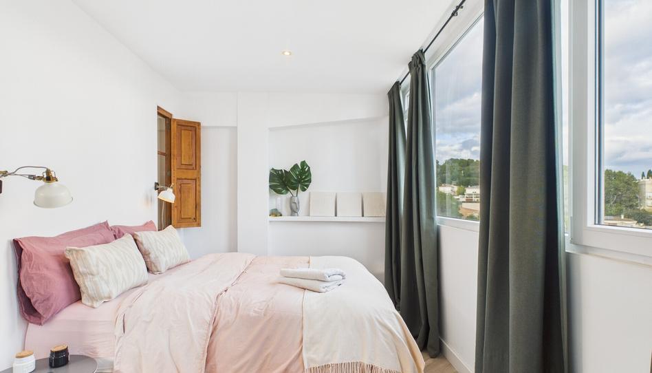 Photo 1 of Apartment to rent in Cala Major, Illes Balears