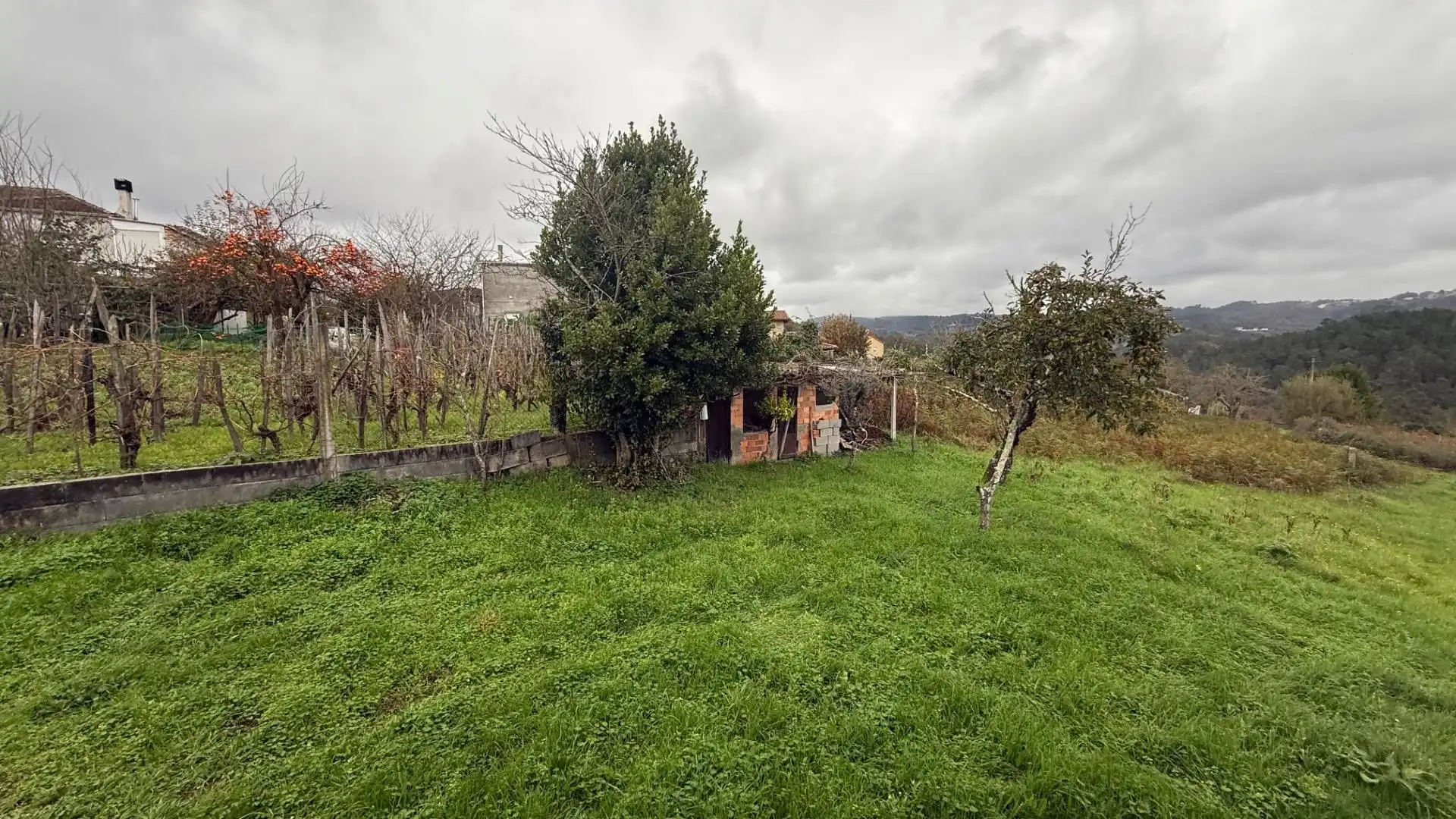 Casa o chalet en venta en Coles con Jardín privado, Terraza y Trastero