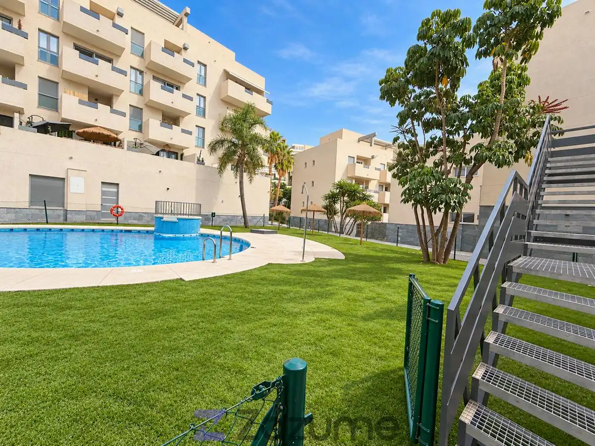 Swimming pool of Flat for rent in Riviera del Sol