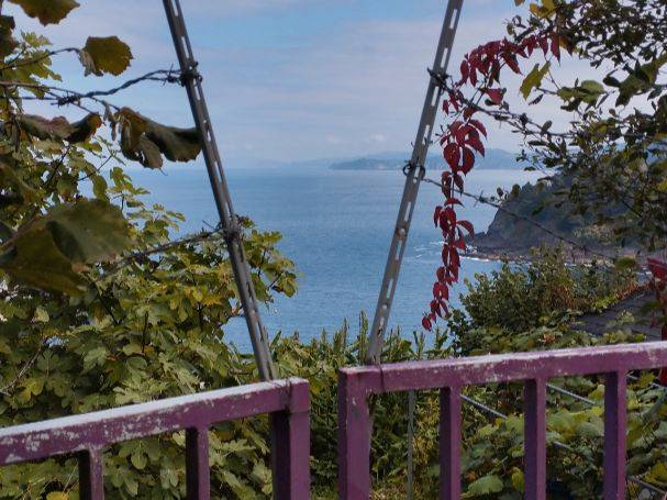 Terreno en Alquiler en Sanmikollako Ibilbidea, 14 en Mutriku