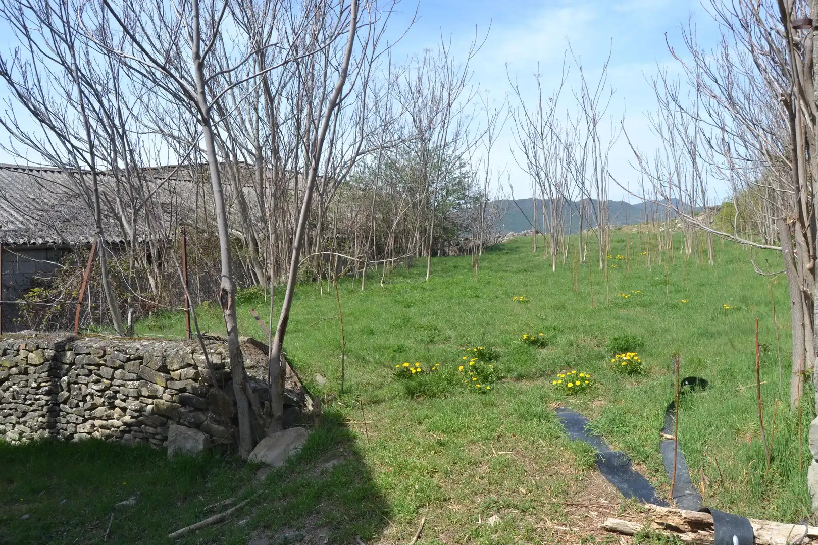 Country homes for sale in Sabiñánigo  with Private garden