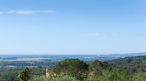 Foto 2 de Finca rústica en venda a Puntiró,  Palma de Mallorca