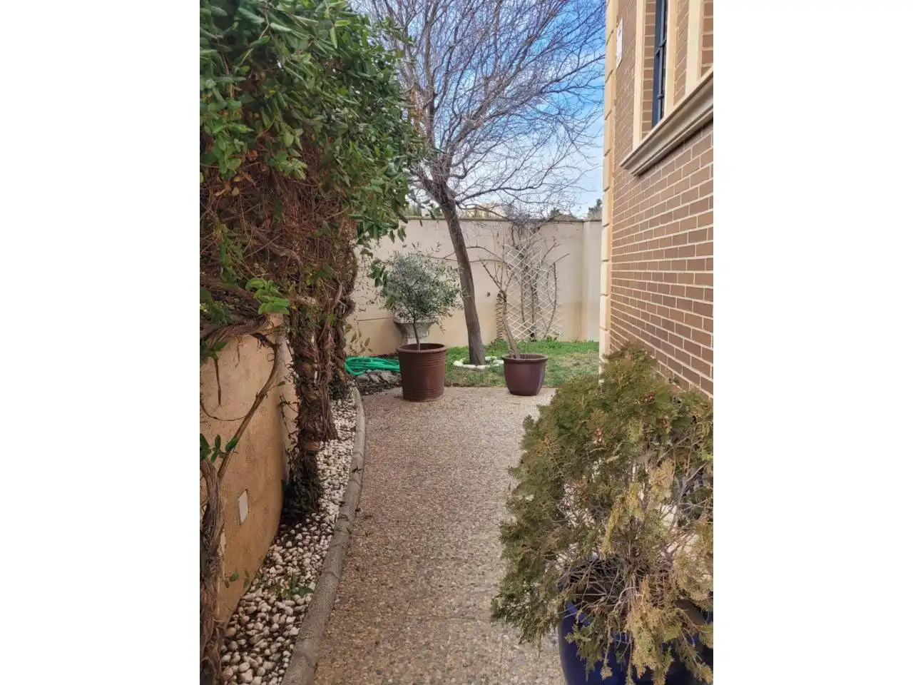 Jardí de Casa o xalet en venda en Baza amb Jardí privat, Terrassa i Piscina