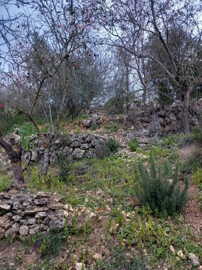 Residential land for sale in Torrelles de Foix, imagen 12