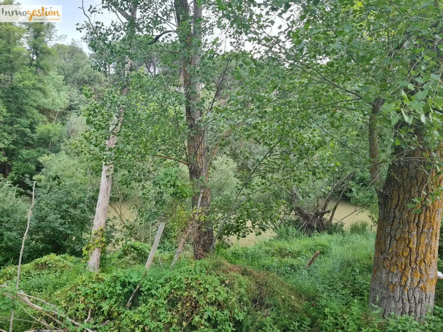Terreno rustico in vendita a Tudela de Duero, imagen 8