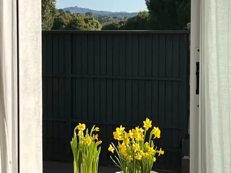 Jardí de Casa o xalet en venda en Galapagar amb Aire condicionat, Jardí privat i Traster