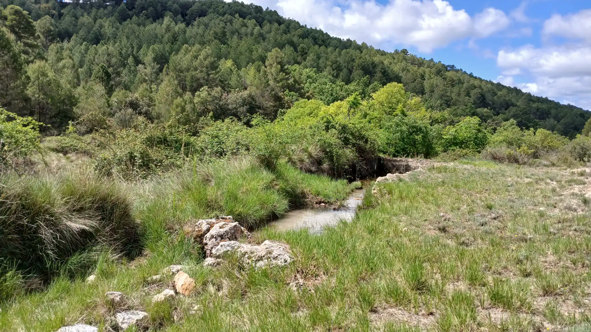 Grundstücke zum Verkauf in La Cerollera