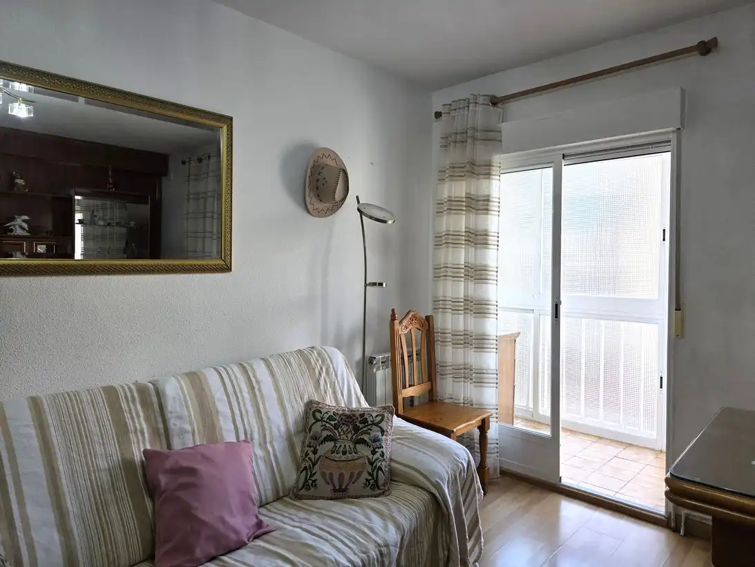 Living room of Flat for rent in Madrid  with Heating, Terrace and Furnished