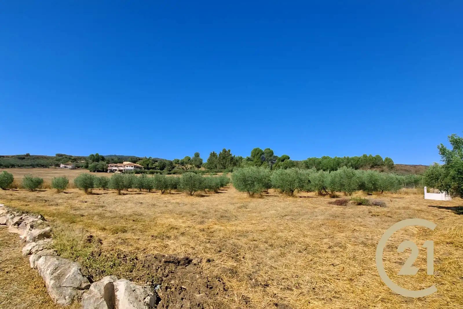 Casa o chalet en venta en Ronda con Calefacción, Jardín privado y Terraza