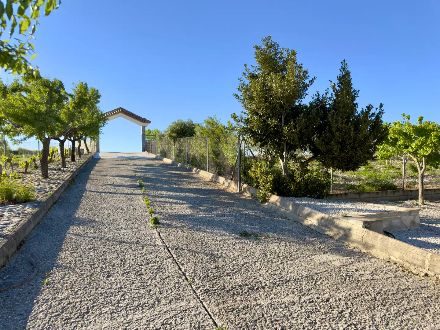 Vista exterior de Finca rústica en venta en Arcos de la Frontera con Aire acondicionado, Calefacción y Jardín privado