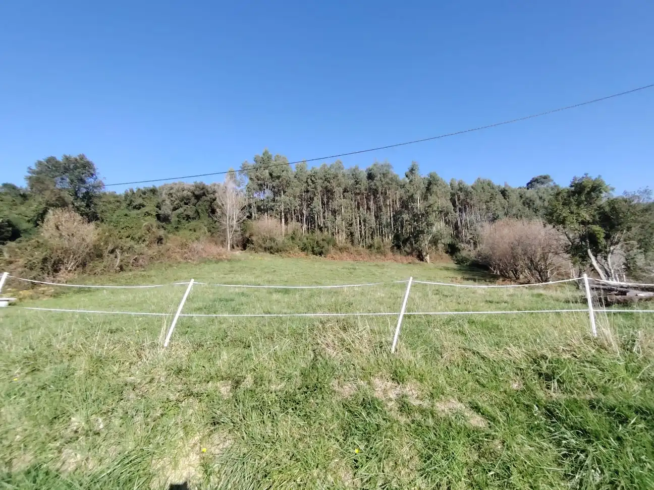 Casa o chalet en venta en Gorliz con Jardín privado y Trastero