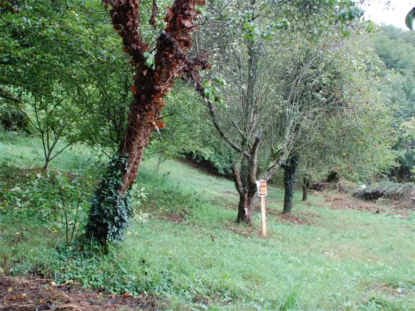 Finca rústica en venda en Cabrales