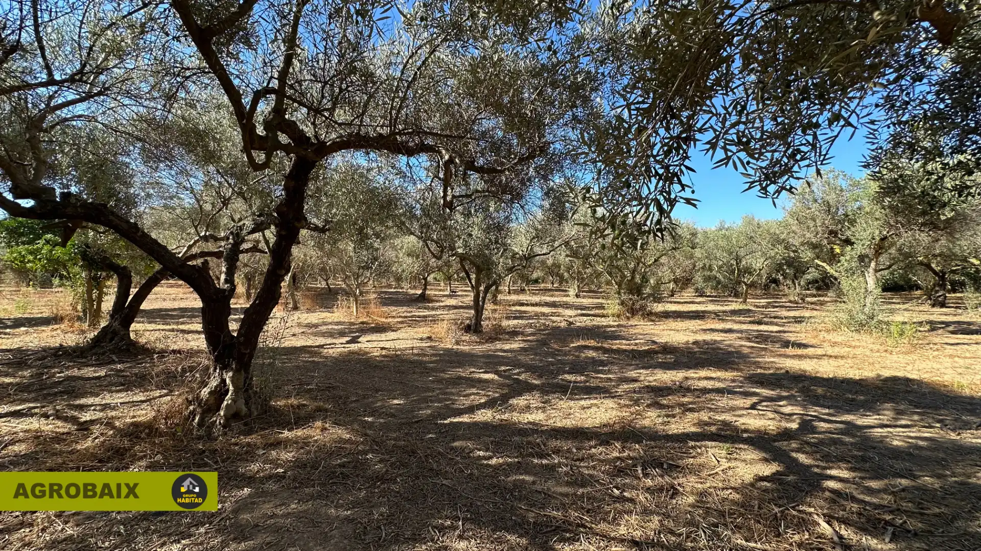 Rural land for sale in BV-2002 114, imagen 20