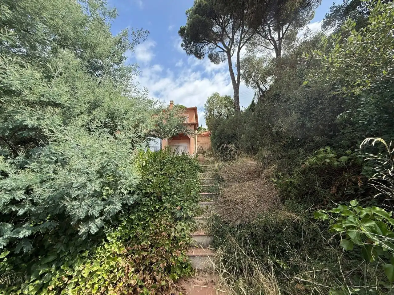 Casa en venta en Calle Violetes, imagen 5