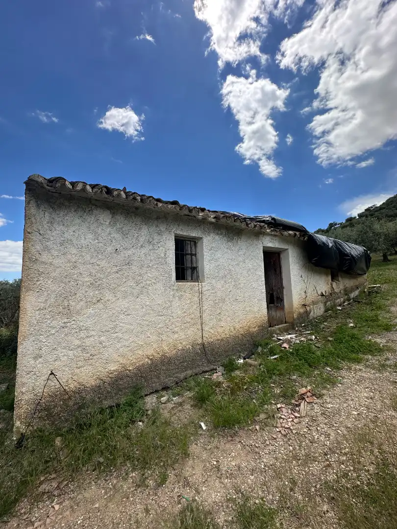 Terreni e lotti in vendita a Periana, imagen 48