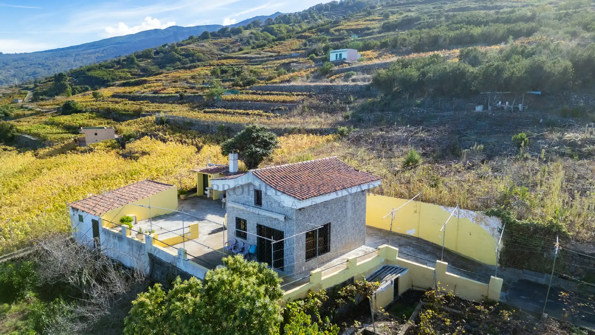 Vista exterior de Finca rústica en venda en Santa Úrsula amb Terrassa