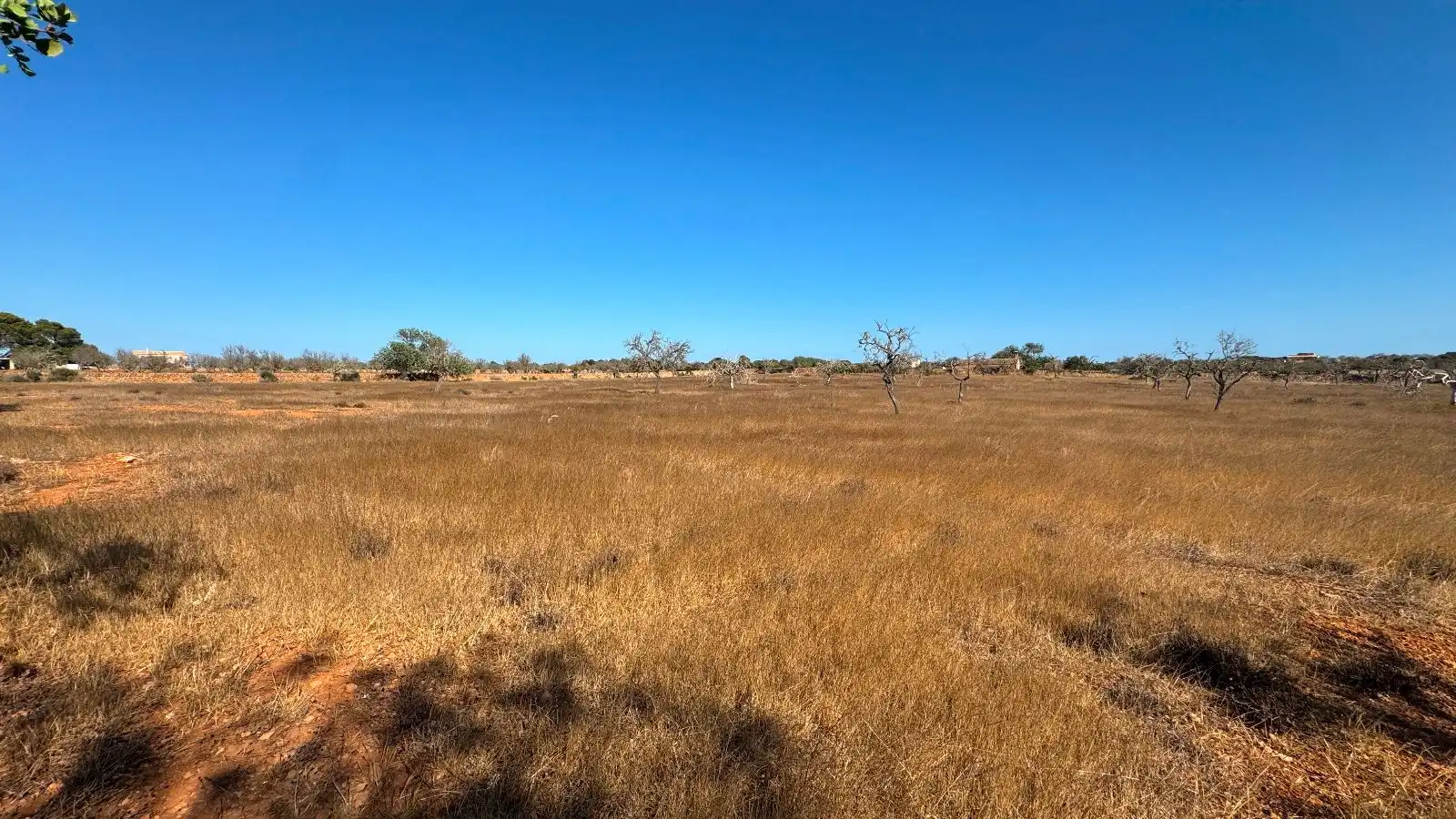 Wohnbaugrundstück zum Verkauf in Ses Salines Poble, imagen 9