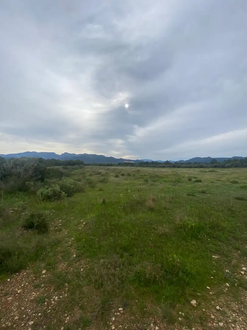 Lands and plots for sale in Ginestar, imagen 6