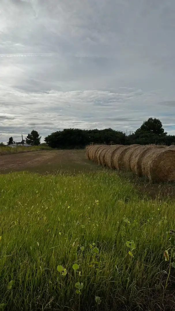 Land for sale in Albatàrrec