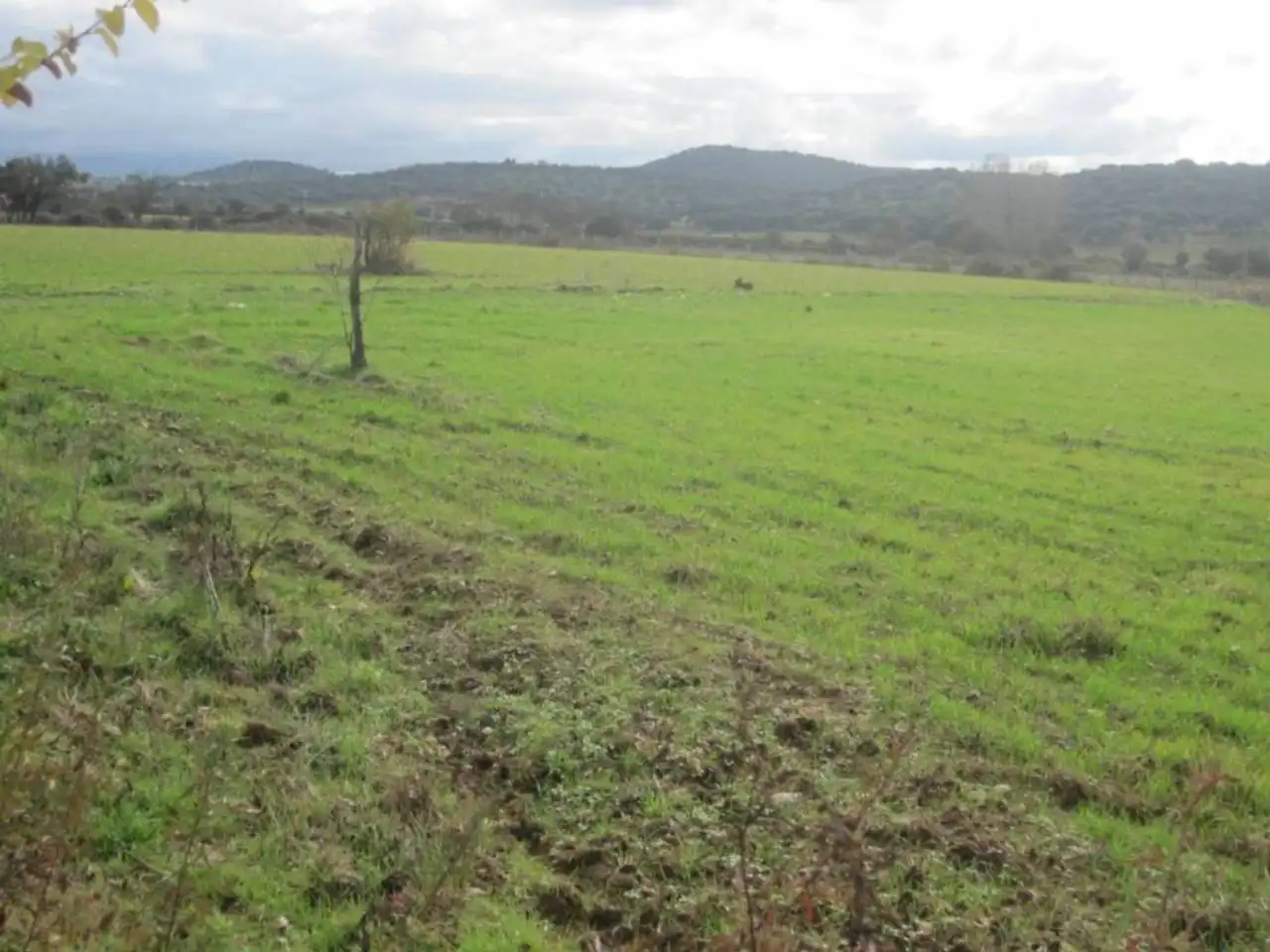 Terreno residencial en venta en Carretera AGUEDA, imagen 4